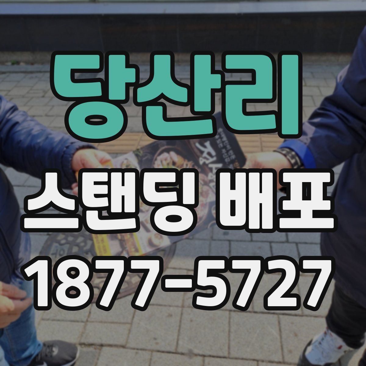 당산리 스탠딩 배포