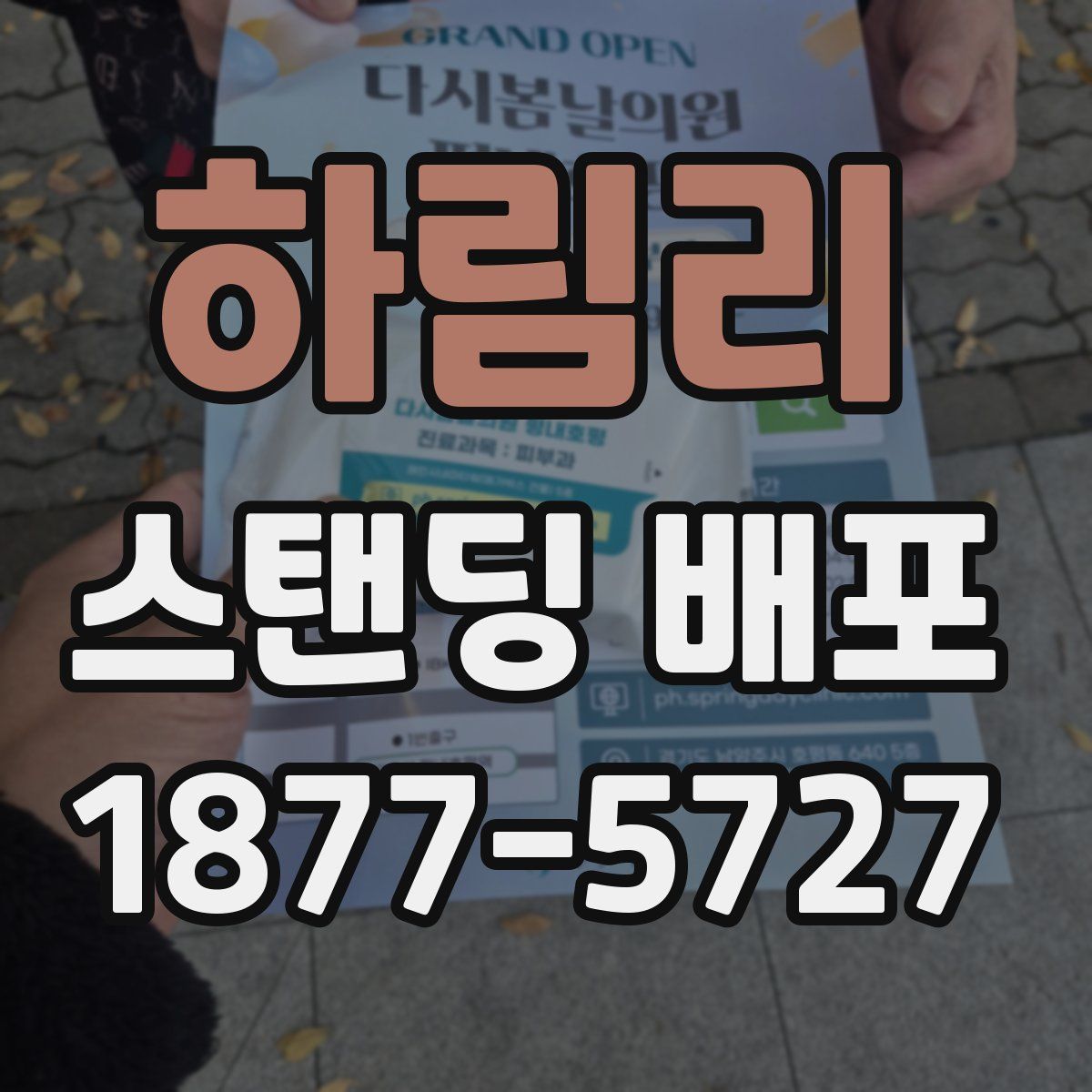 하림리 스탠딩 배포