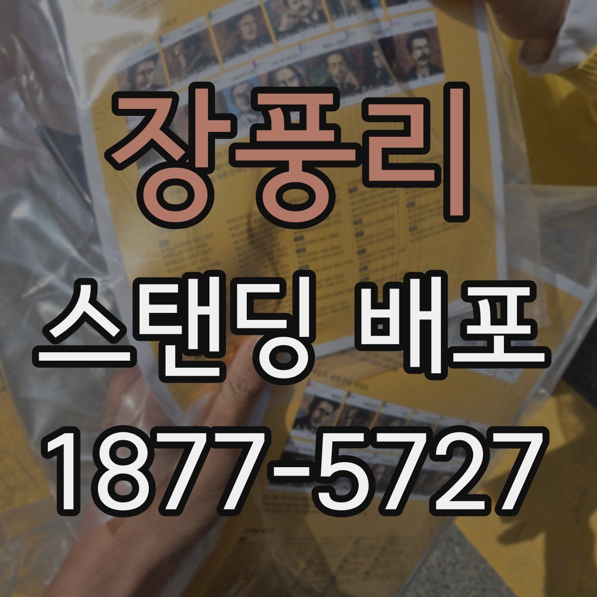 장풍리 스탠딩 배포