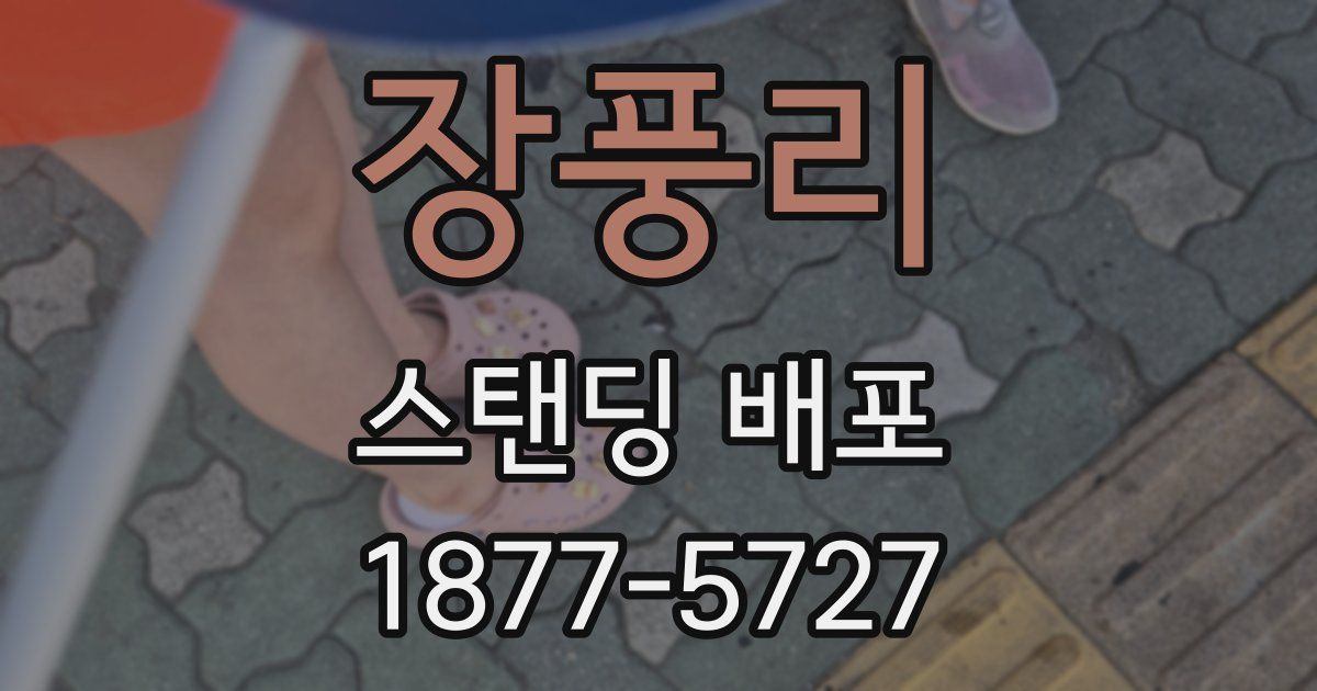 장풍리 스탠딩 배포