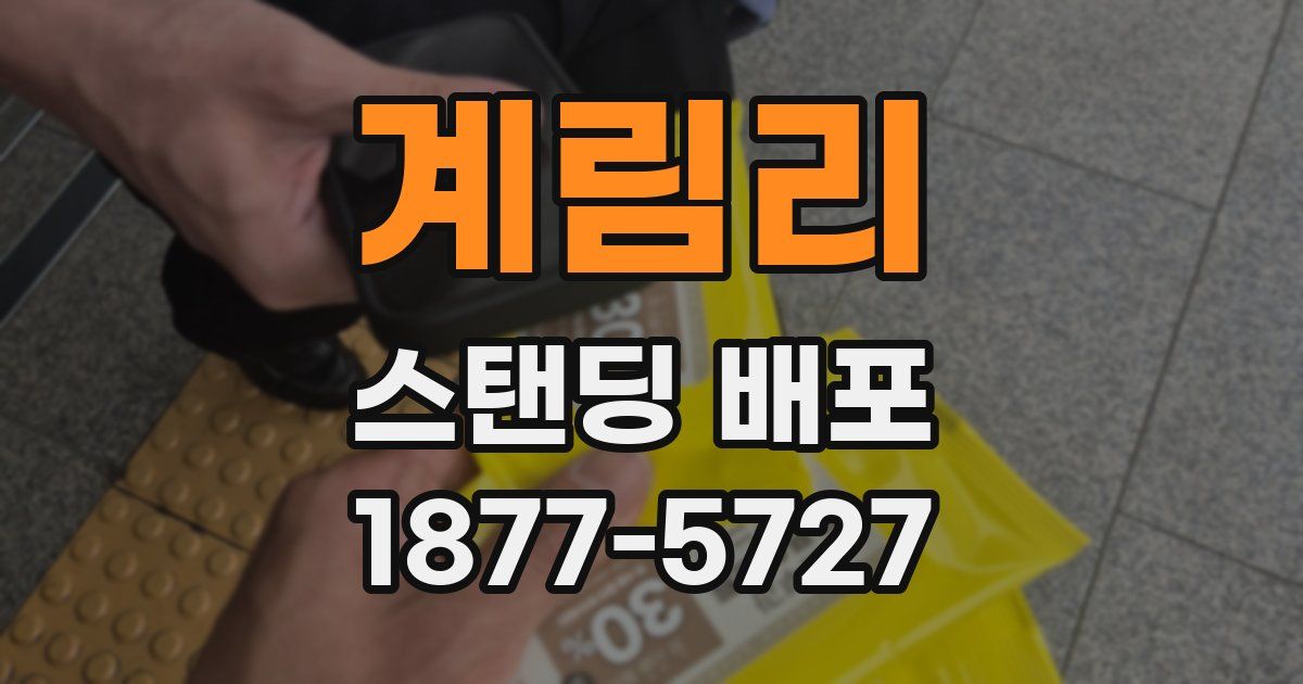 계림리 스탠딩 배포