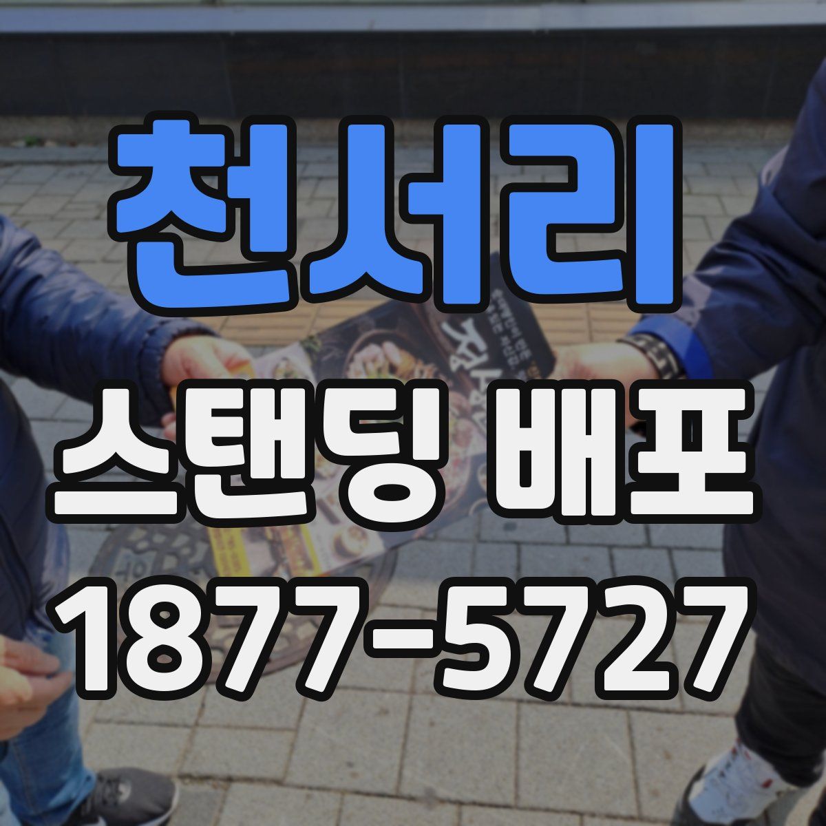 천서리 스탠딩 배포