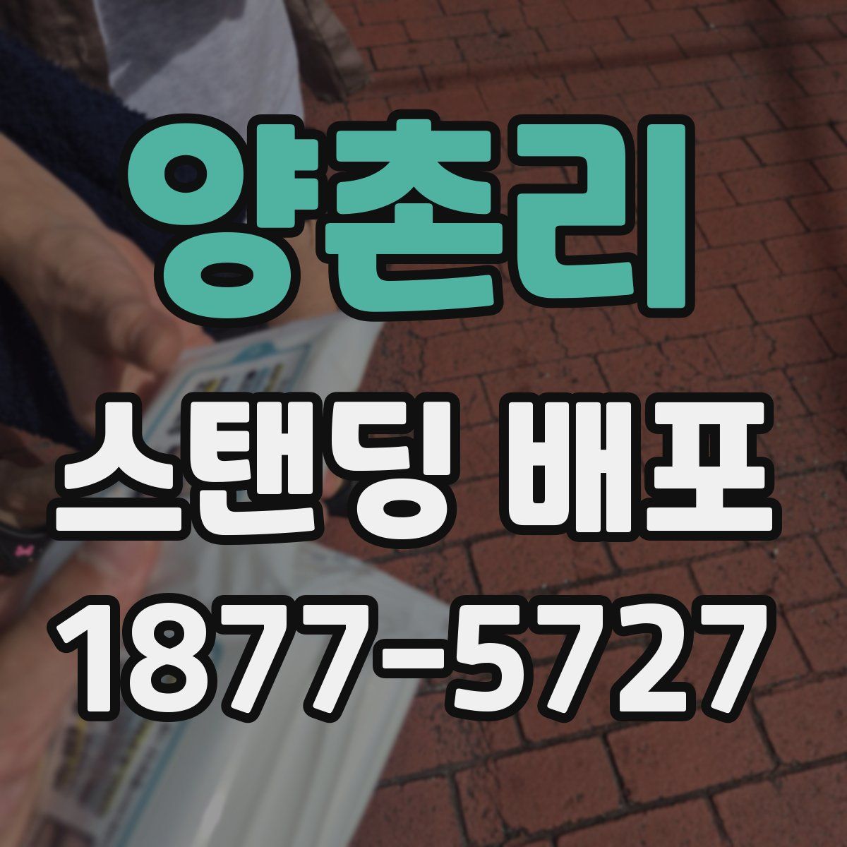 양촌리 스탠딩 배포