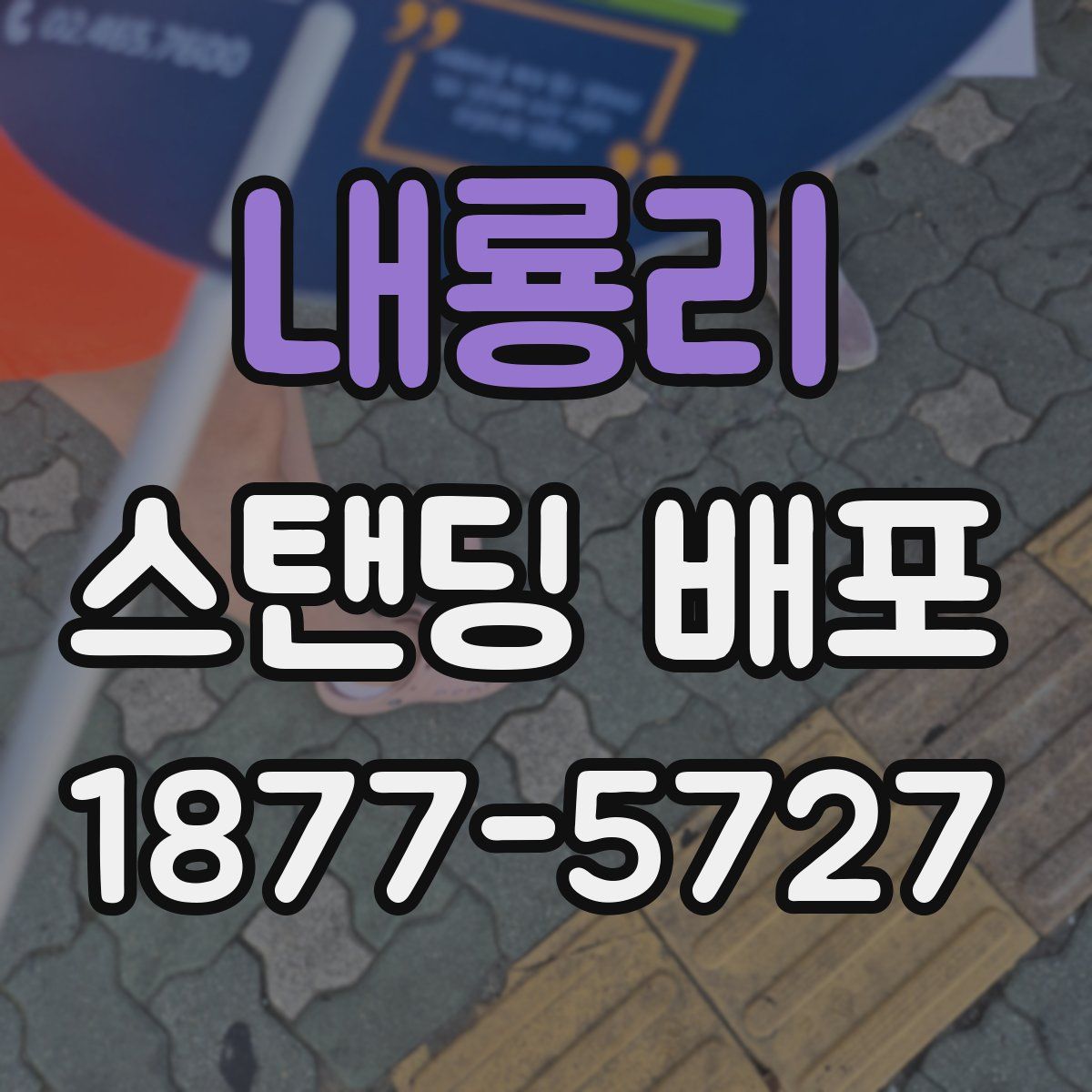 내룡리 스탠딩 배포