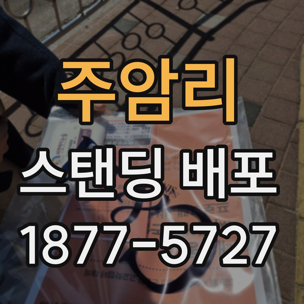주암리 스탠딩 배포