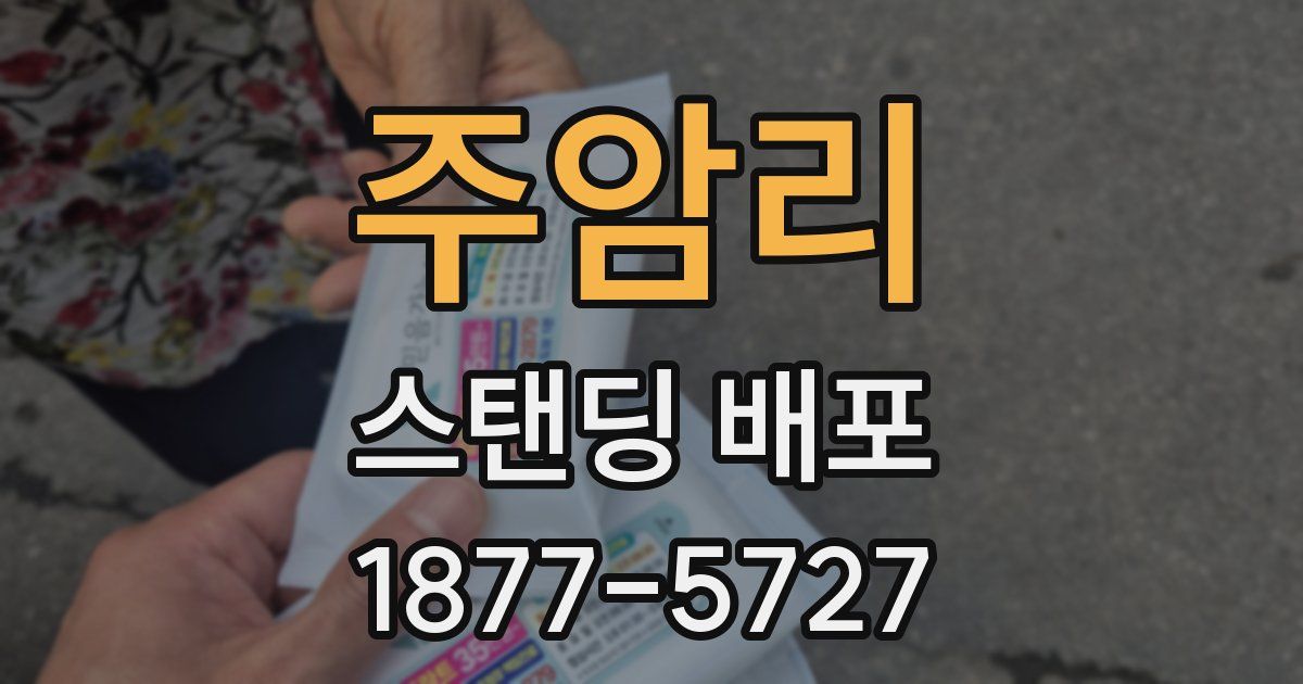 주암리 스탠딩 배포