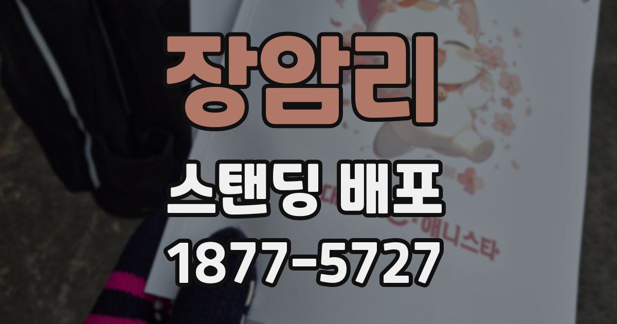 장암리 스탠딩 배포