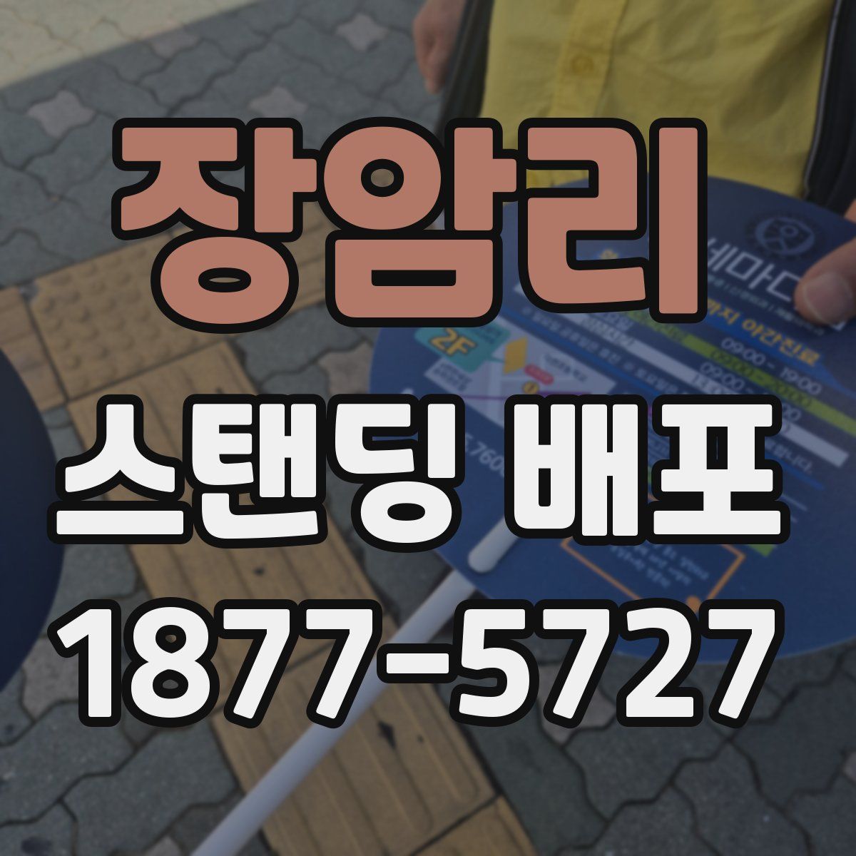 장암리 스탠딩 배포