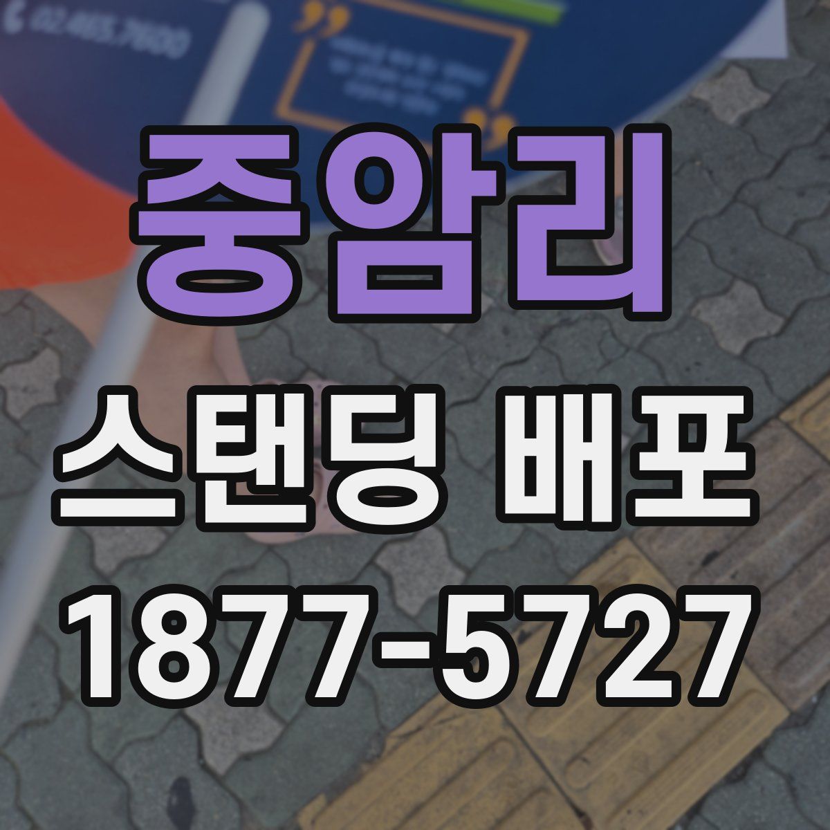 중암리 스탠딩 배포
