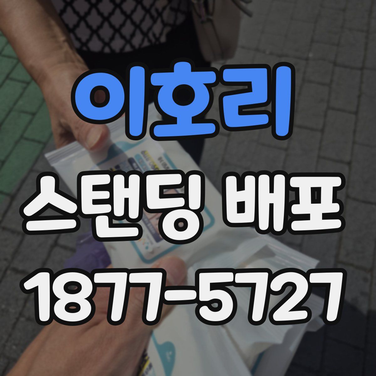 이호리 스탠딩 배포