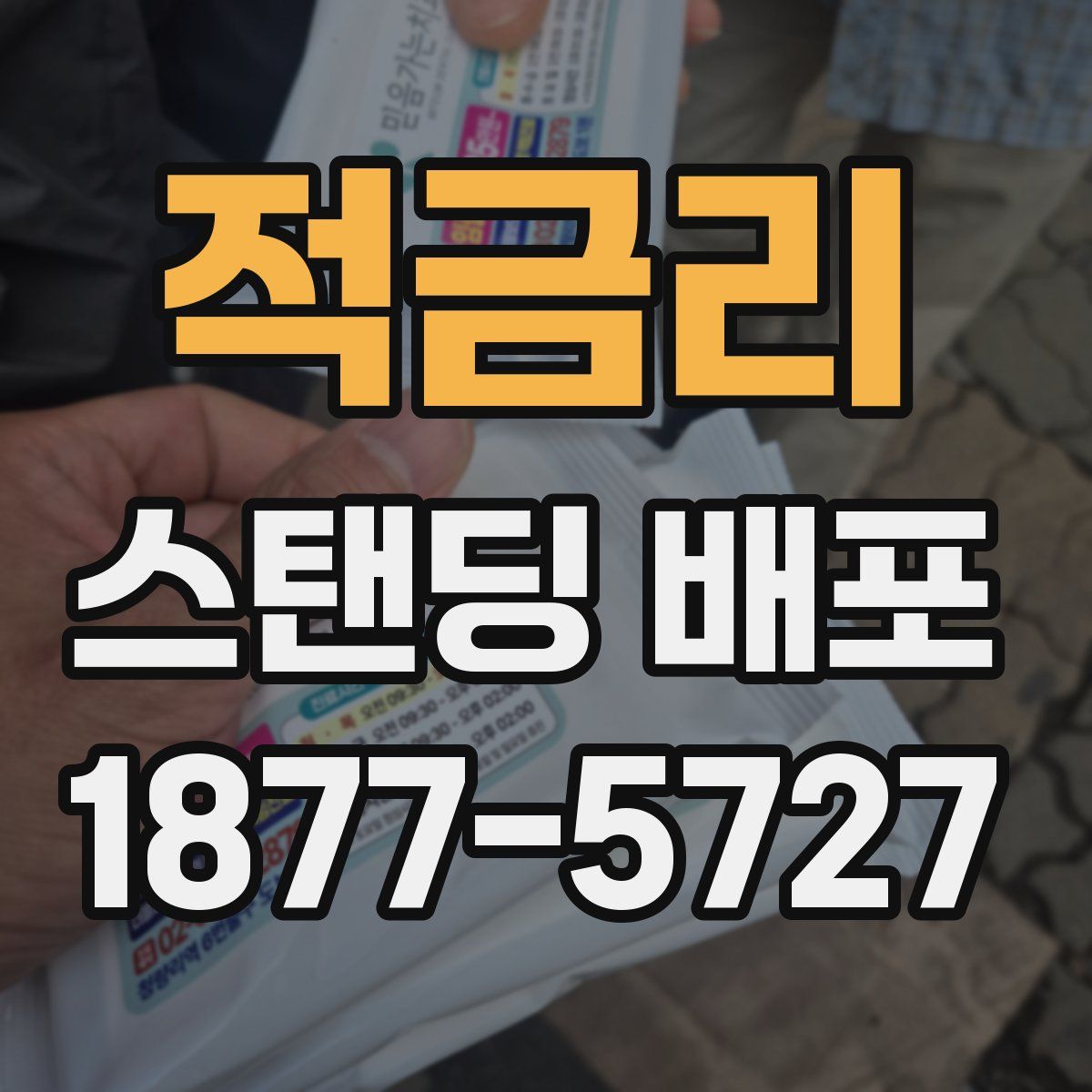 적금리 스탠딩 배포