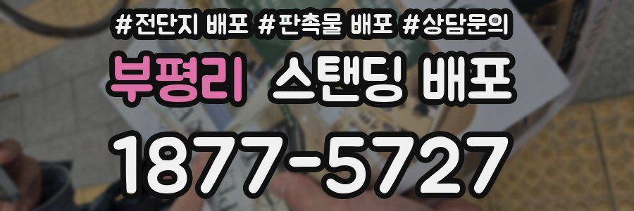 부평리 스탠딩 배포