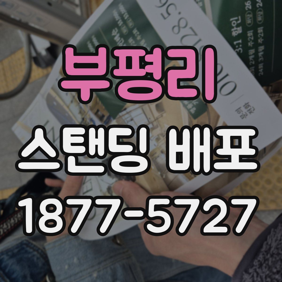 부평리 스탠딩 배포