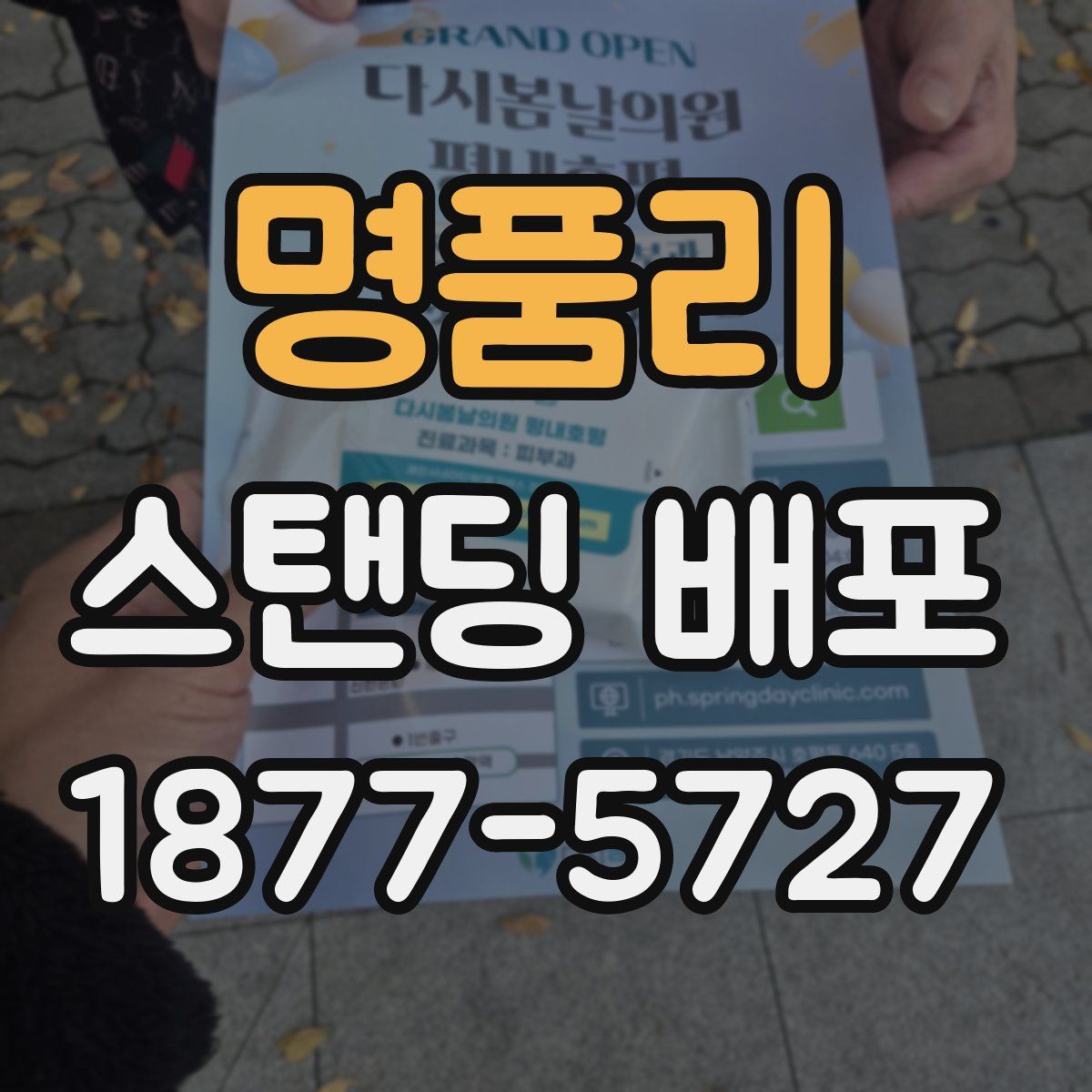 명품리 스탠딩 배포