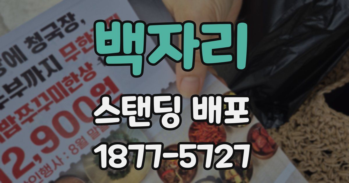 백자리 스탠딩 배포