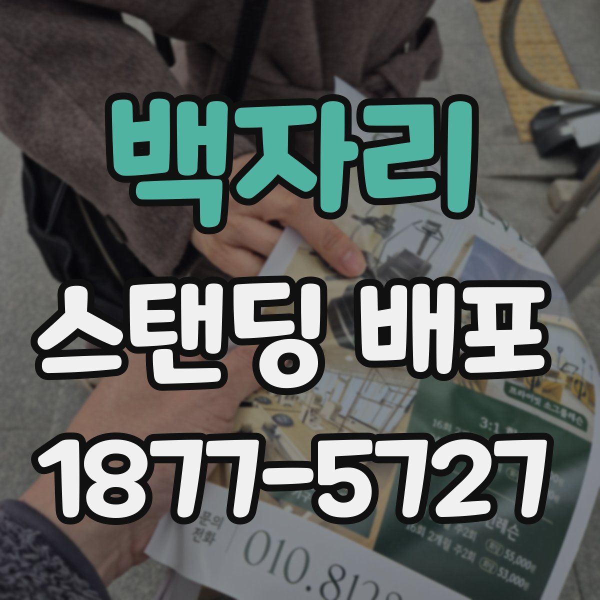 백자리 스탠딩 배포