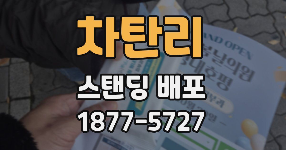 차탄리 스탠딩 배포