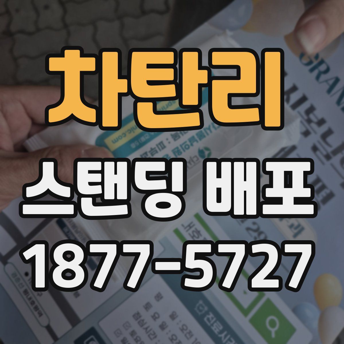 차탄리 스탠딩 배포
