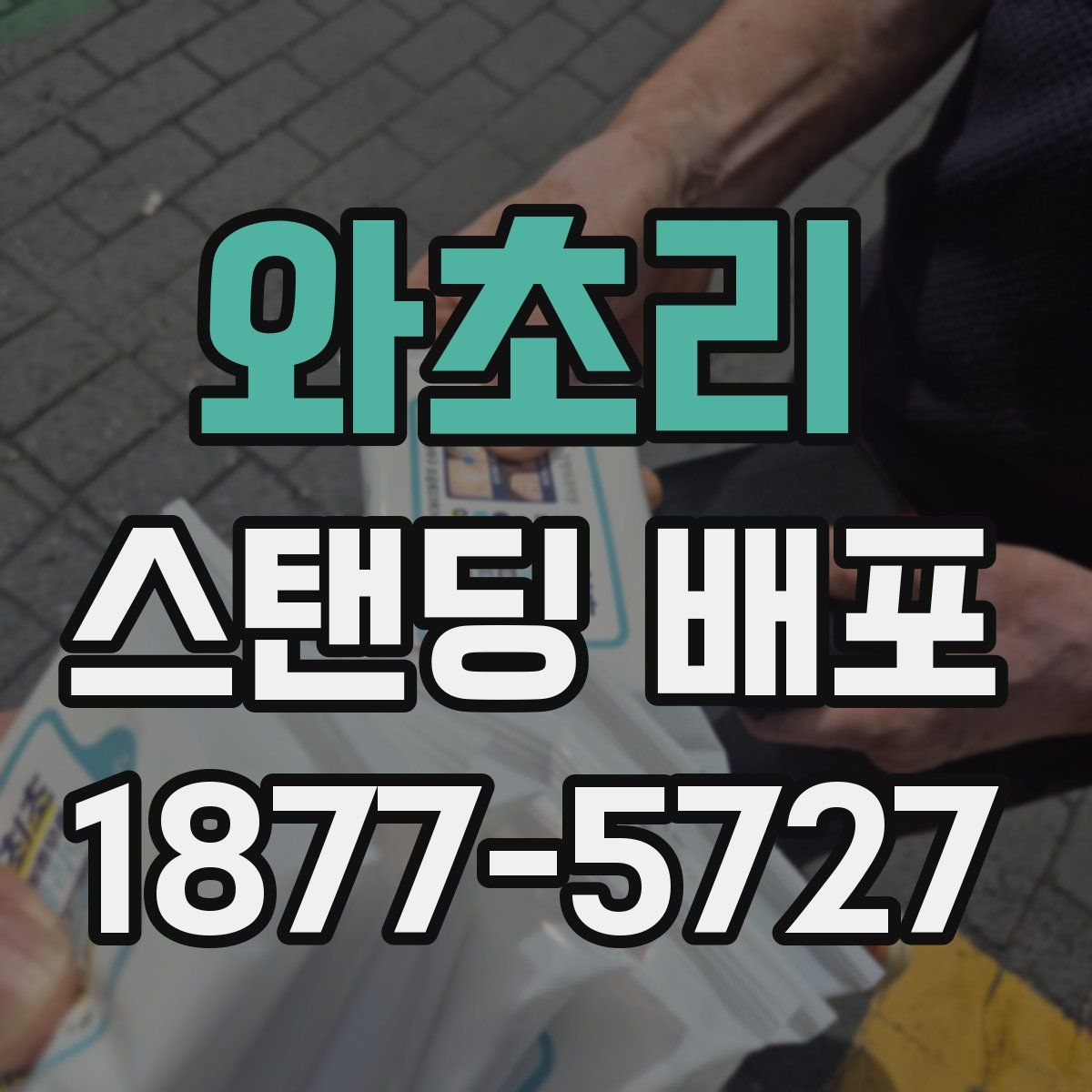 와초리 스탠딩 배포