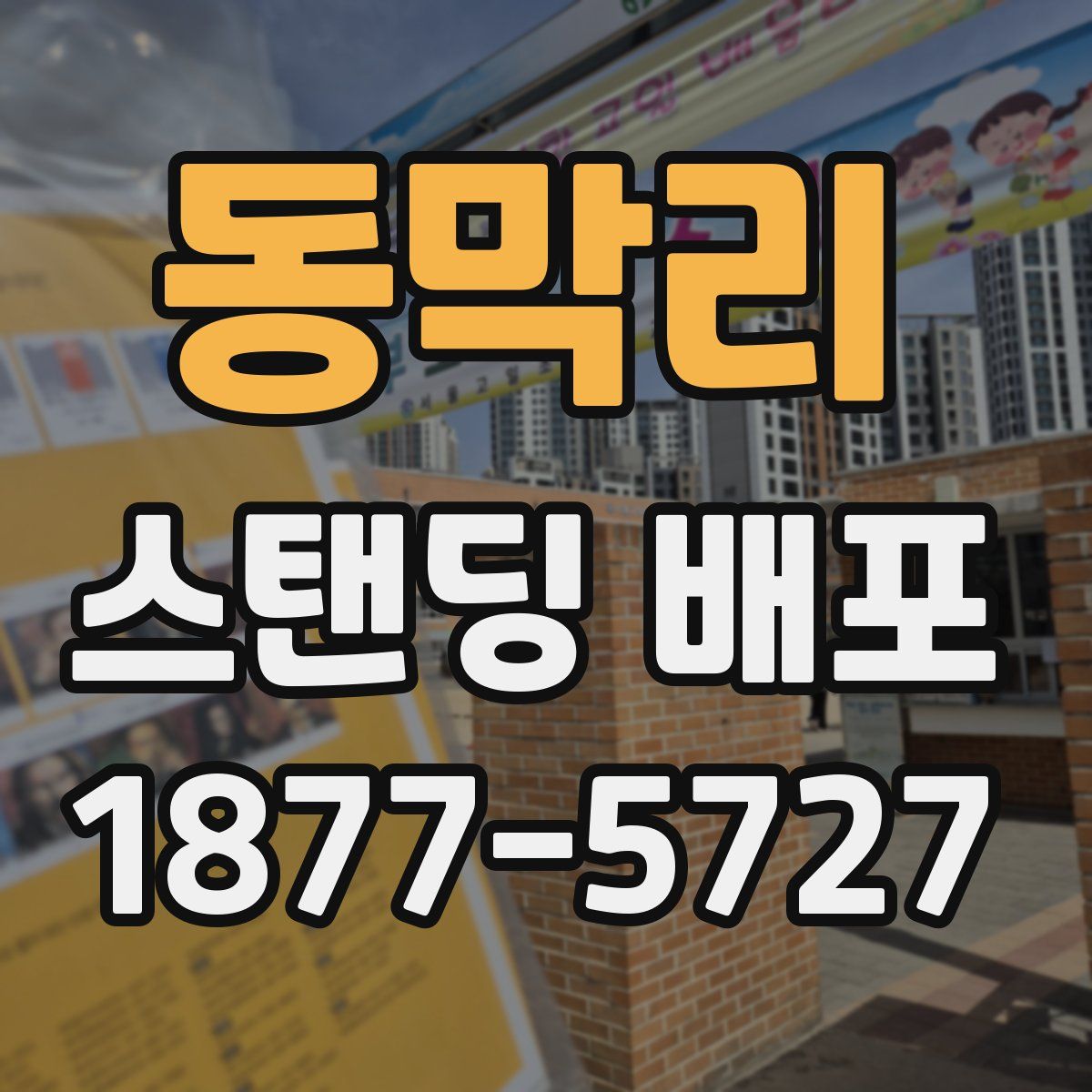 동막리 스탠딩 배포