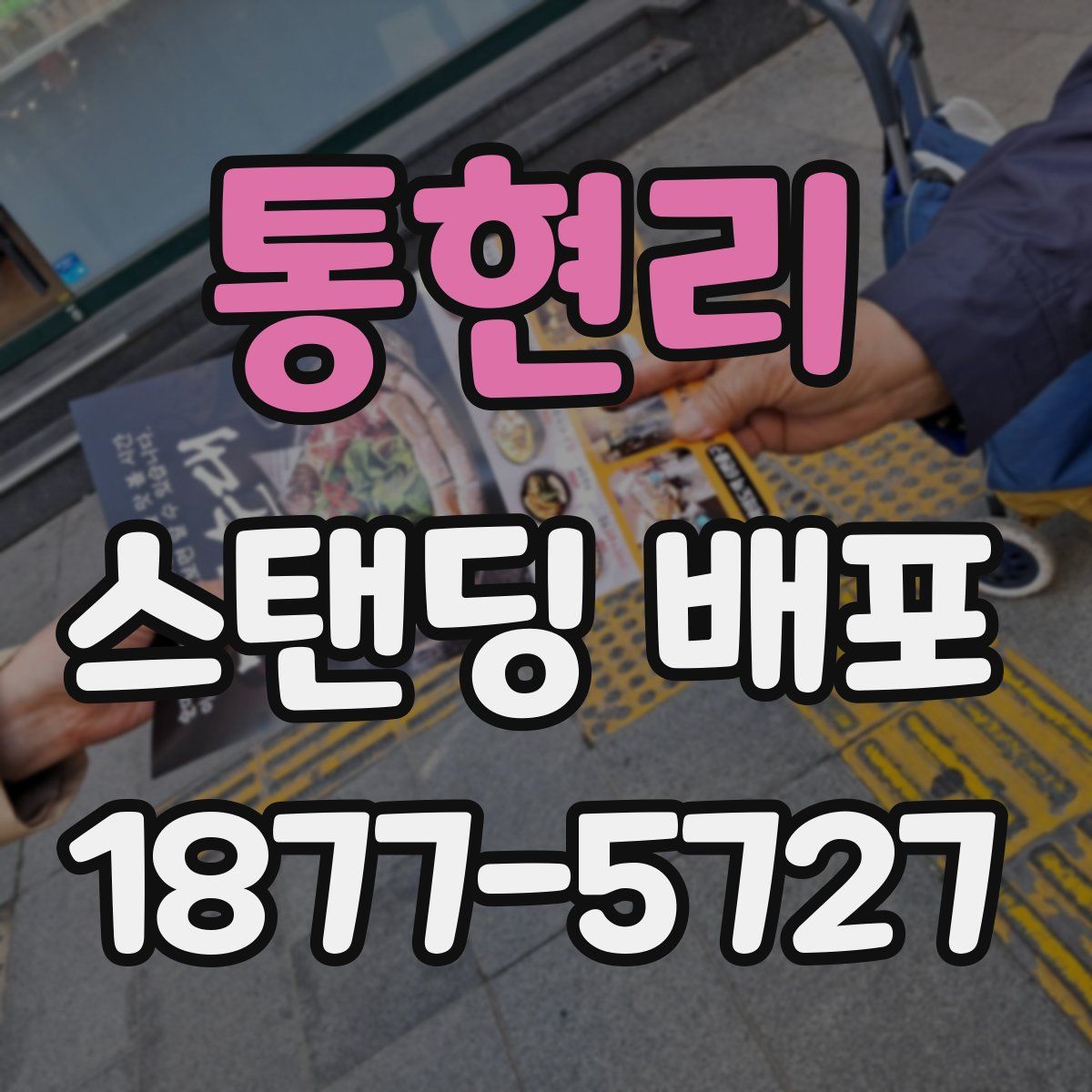 통현리 스탠딩 배포