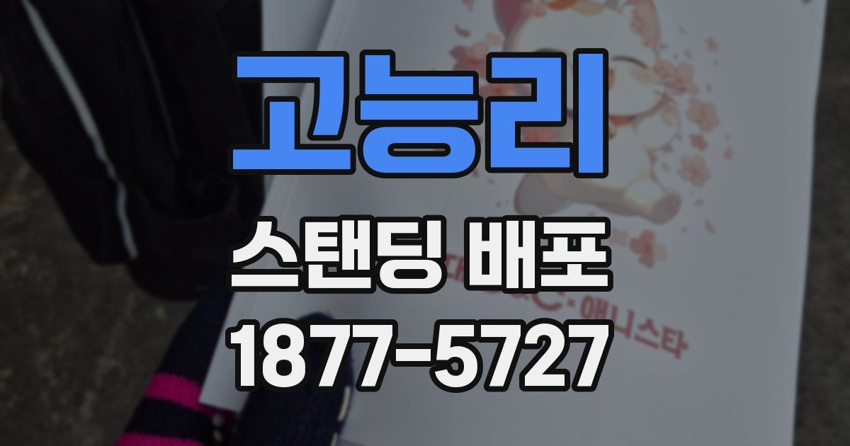 고능리 스탠딩 배포