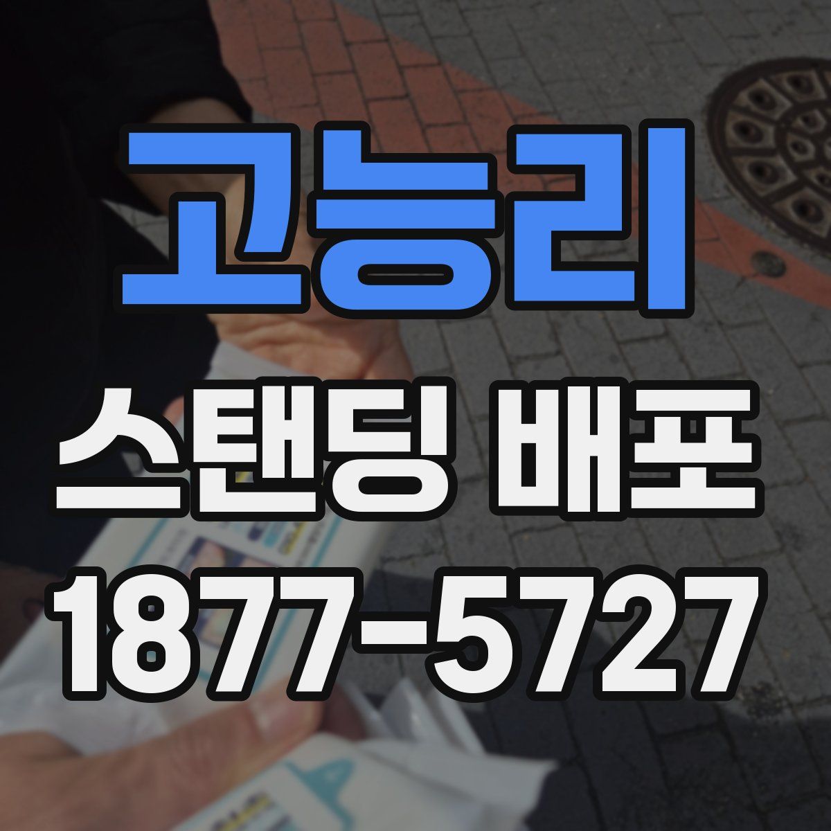 고능리 스탠딩 배포