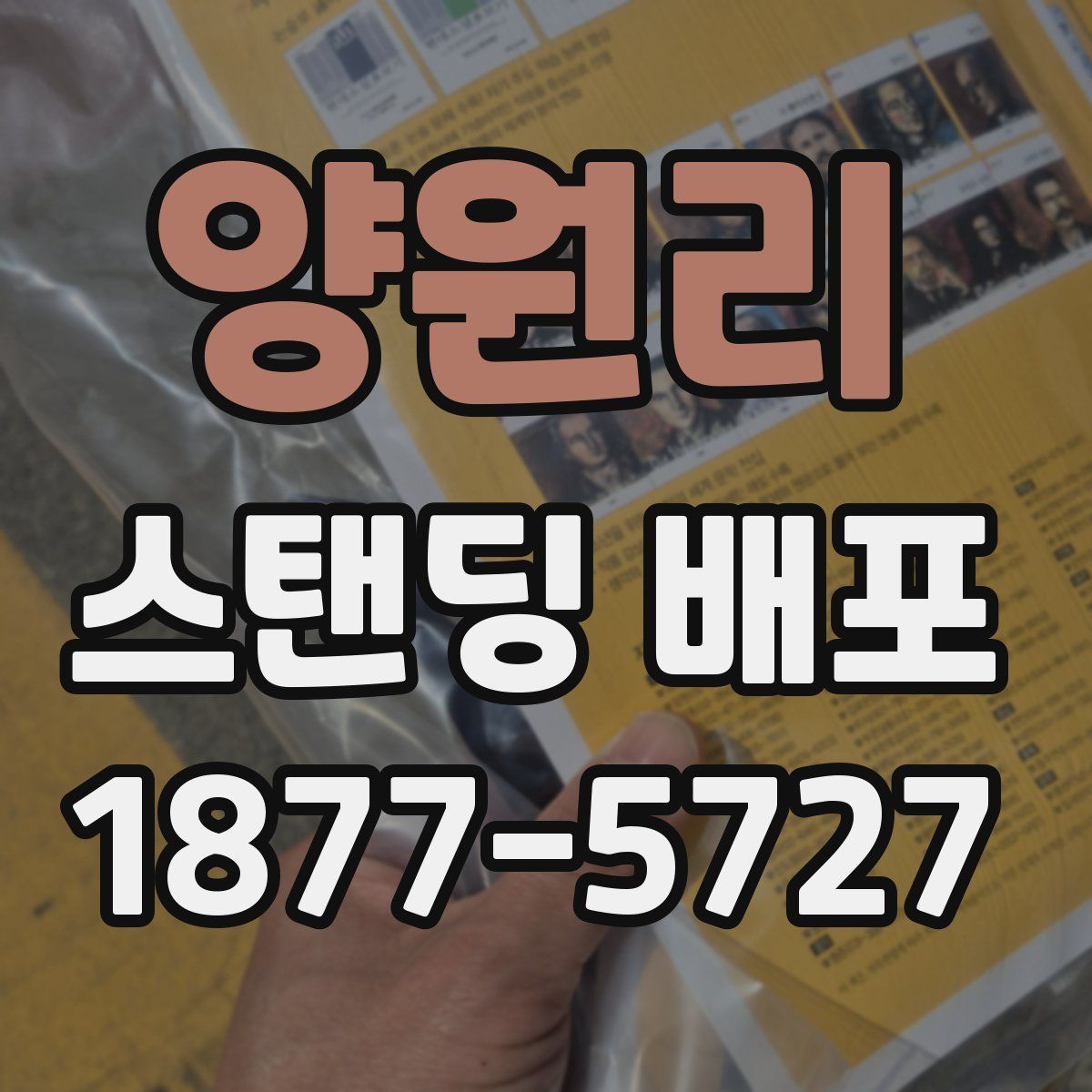 양원리 스탠딩 배포