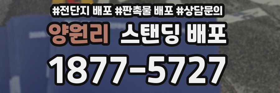양원리 스탠딩 배포