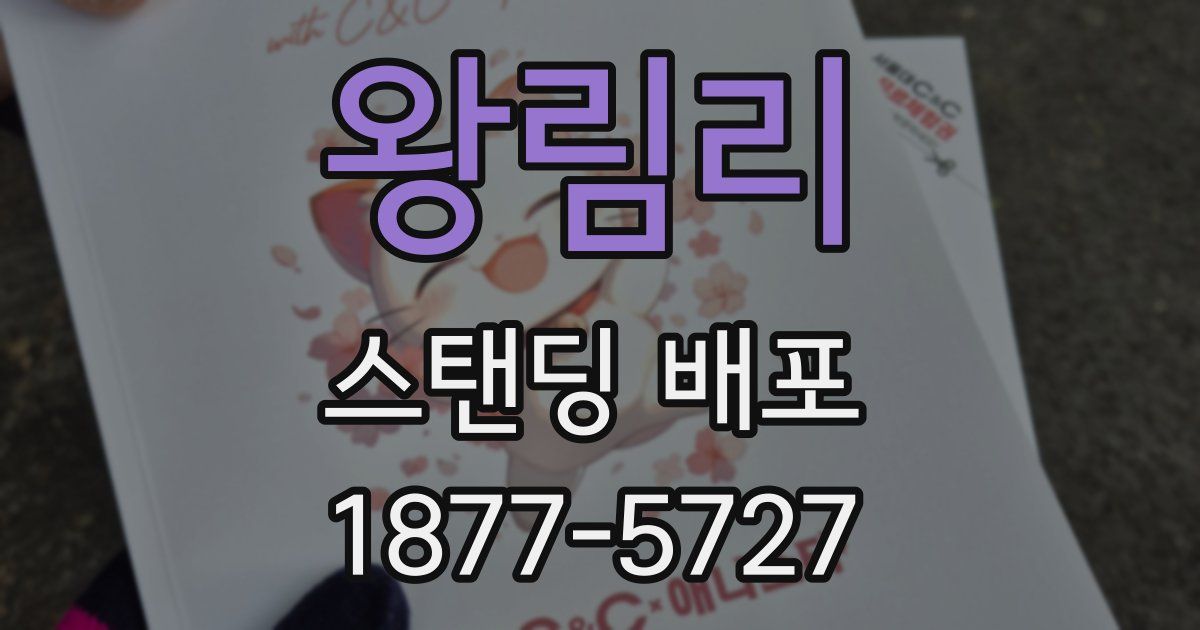왕림리 스탠딩 배포