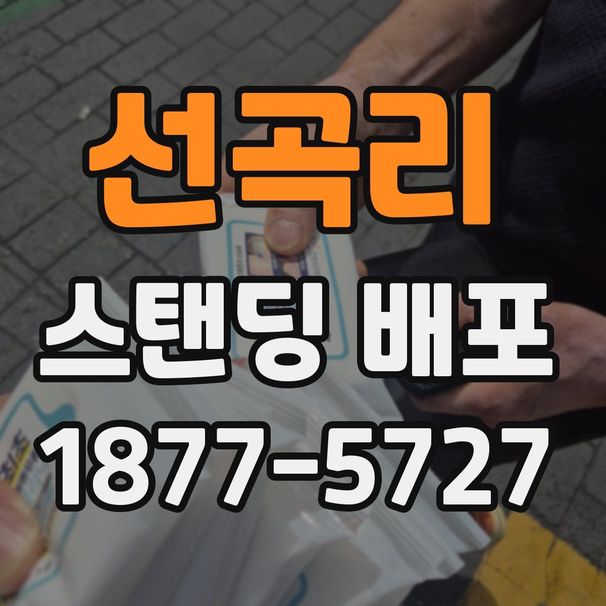 선곡리 스탠딩 배포