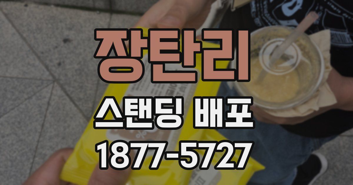 장탄리 스탠딩 배포