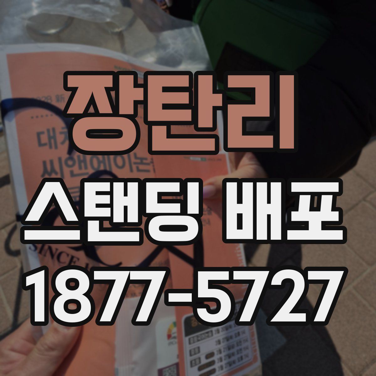 장탄리 스탠딩 배포