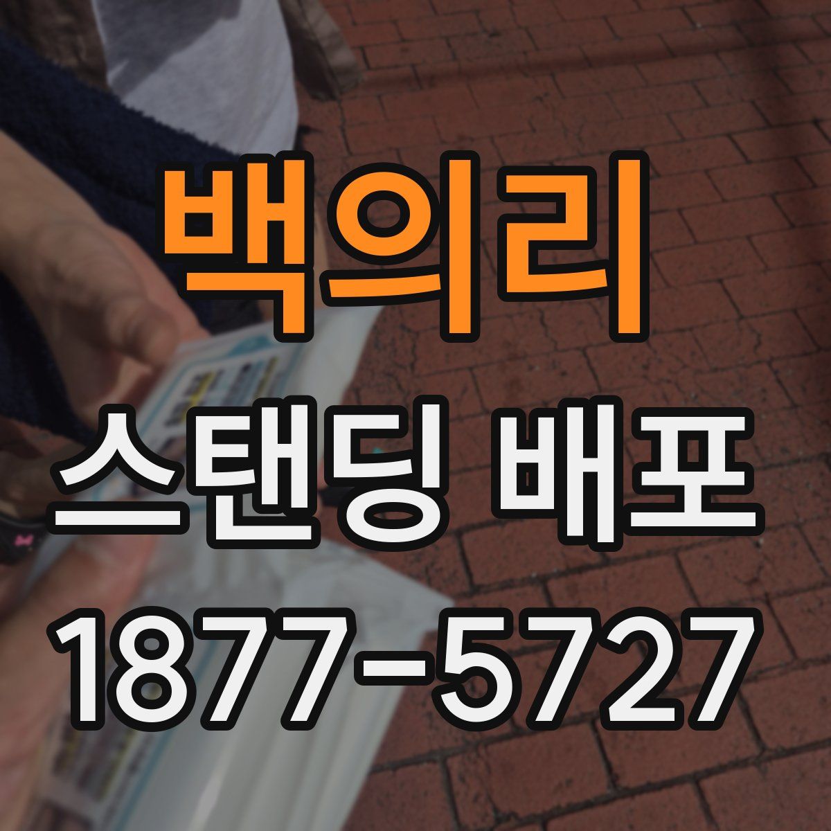 백의리 스탠딩 배포