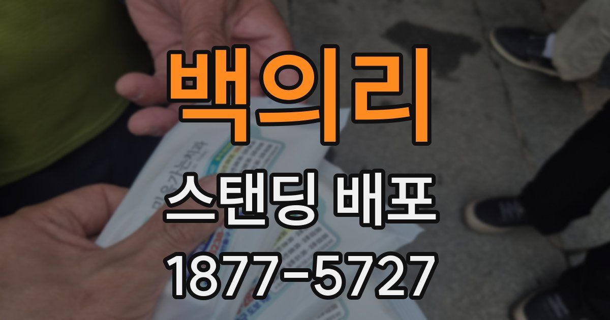 백의리 스탠딩 배포