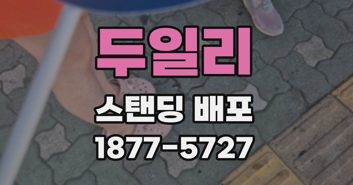 두일리 스탠딩 배포