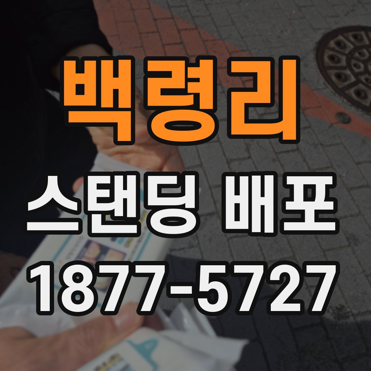 백령리 스탠딩 배포