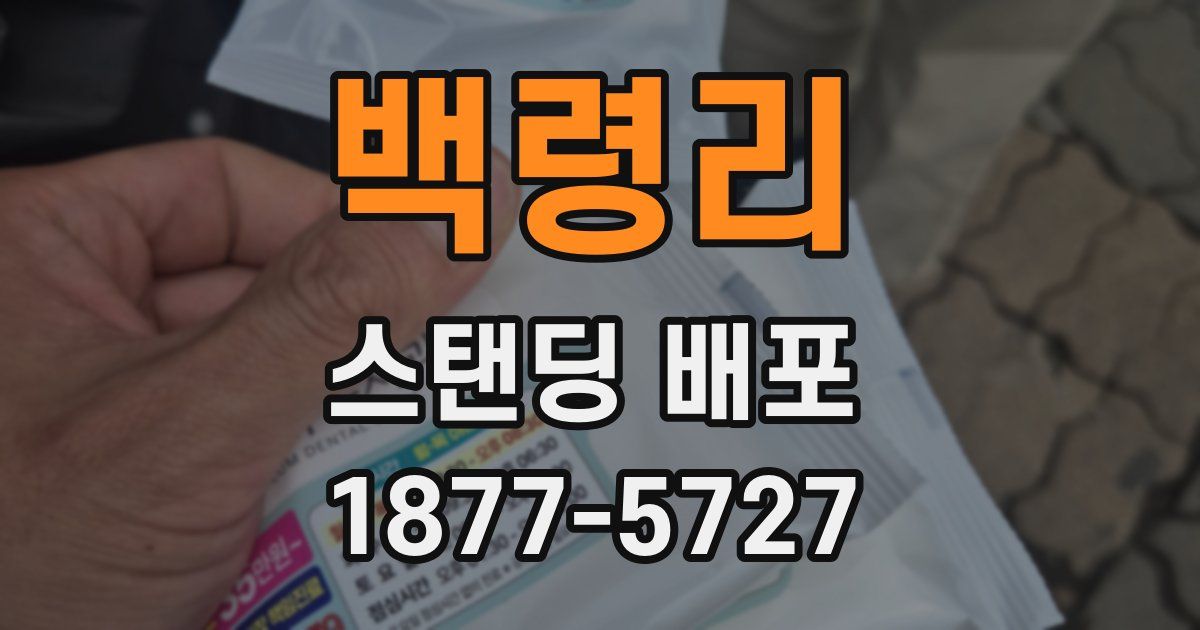 백령리 스탠딩 배포