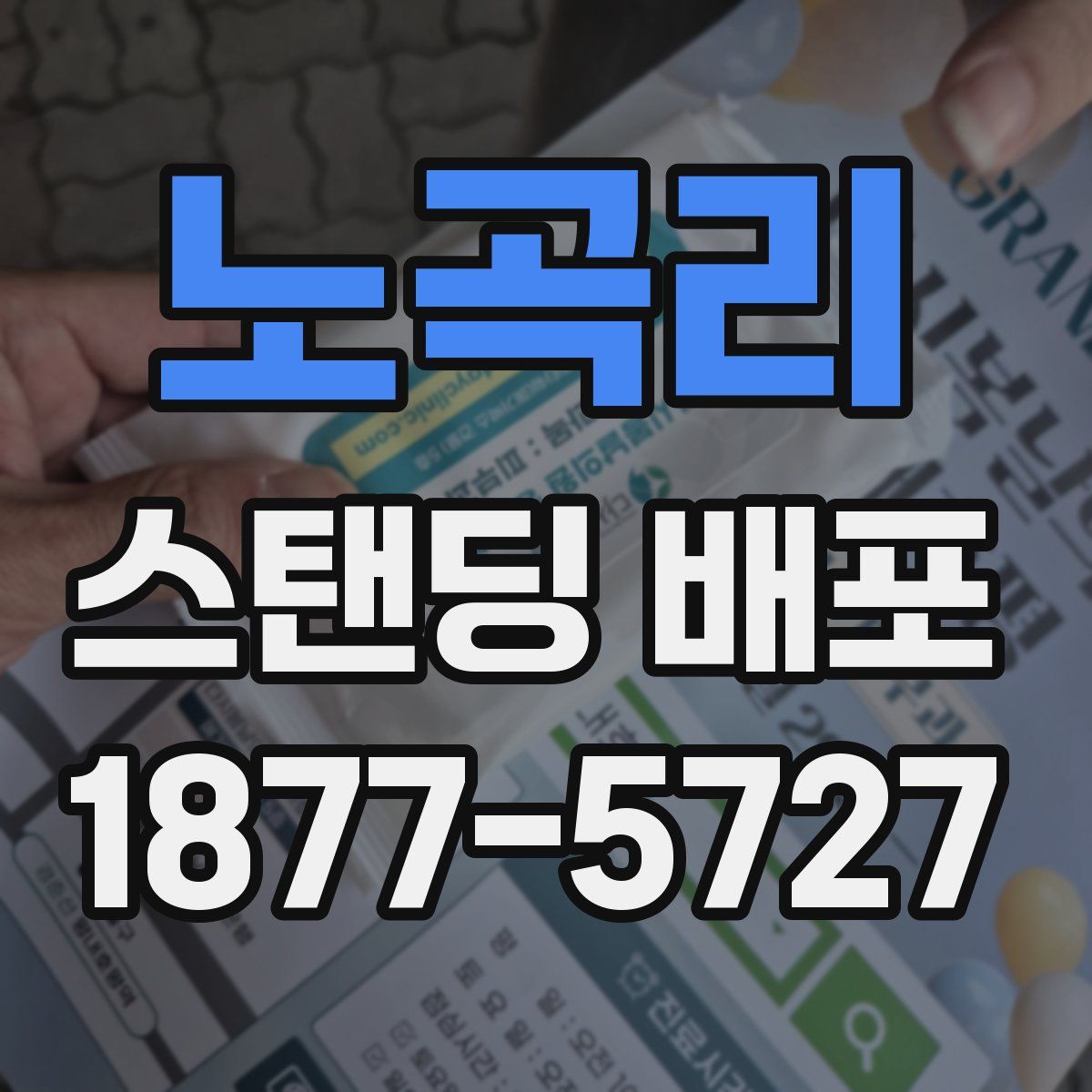 노곡리 스탠딩 배포