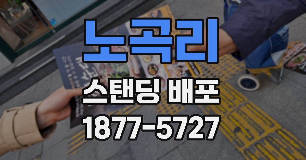노곡리 스탠딩 배포