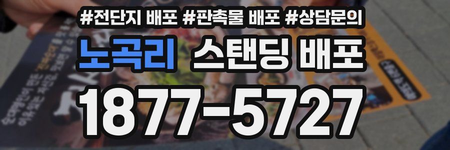 노곡리 스탠딩 배포