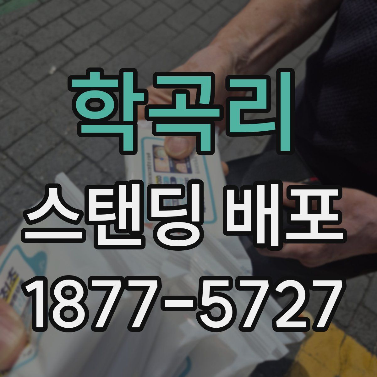 학곡리 스탠딩 배포
