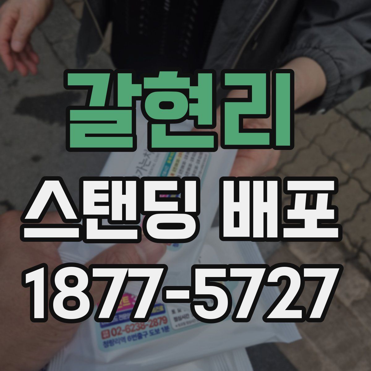 갈현리 스탠딩 배포