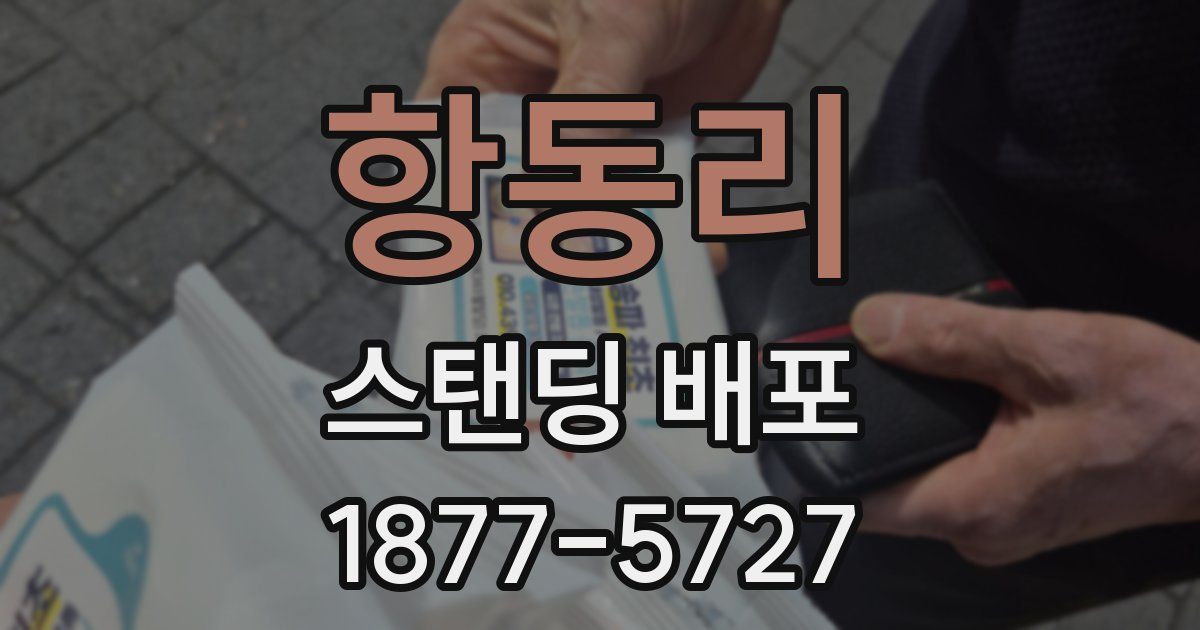 항동리 스탠딩 배포