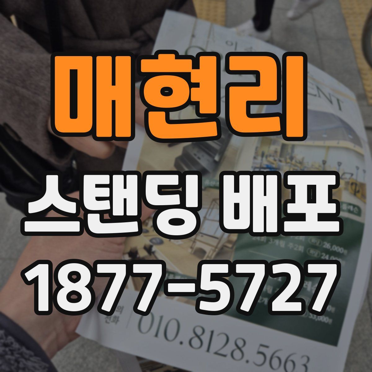 매현리 스탠딩 배포