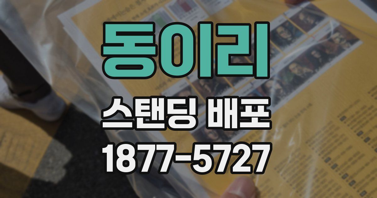 동이리 스탠딩 배포