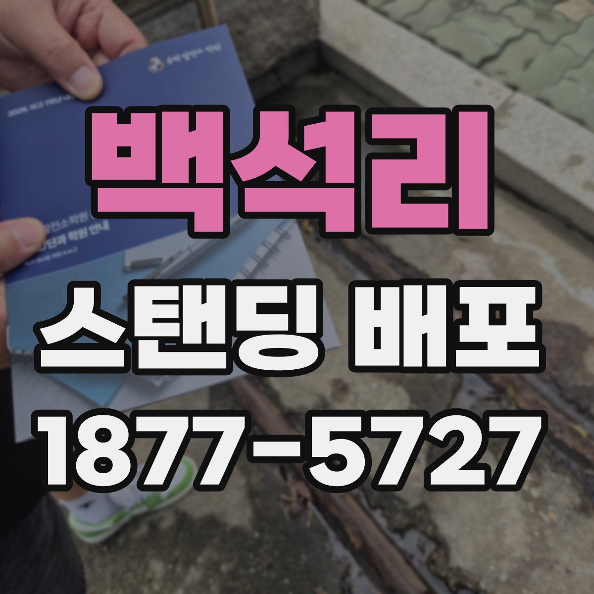 백석리 스탠딩 배포