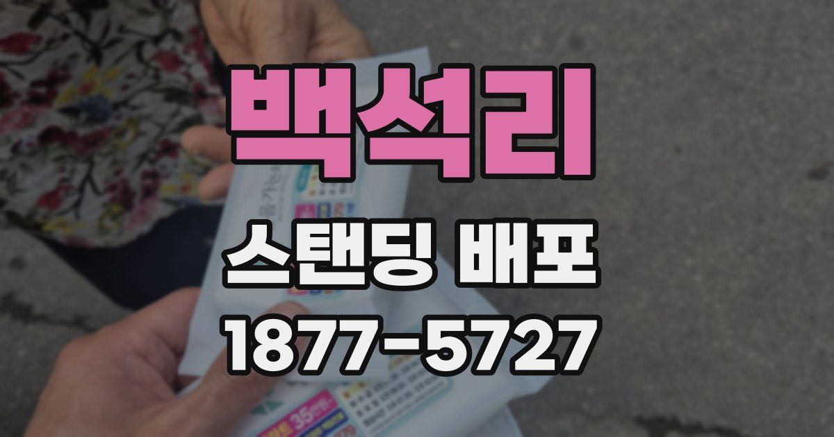 백석리 스탠딩 배포