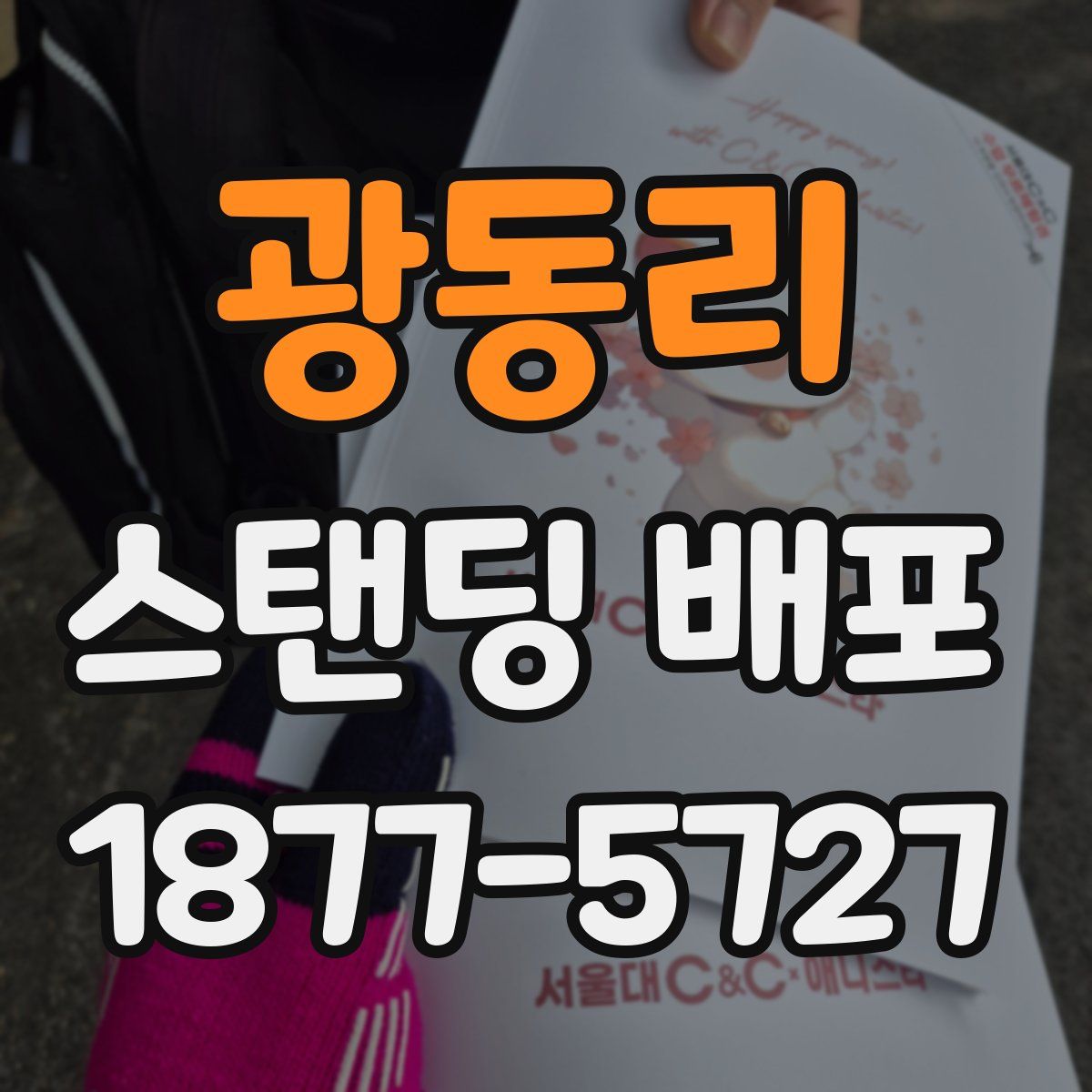광동리 스탠딩 배포