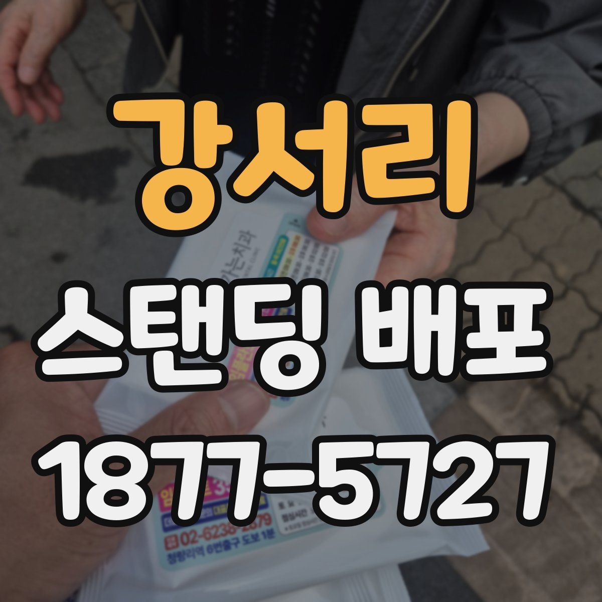 강서리 스탠딩 배포